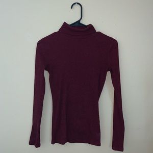 Thick Ribbed Burgundy Turtleneck